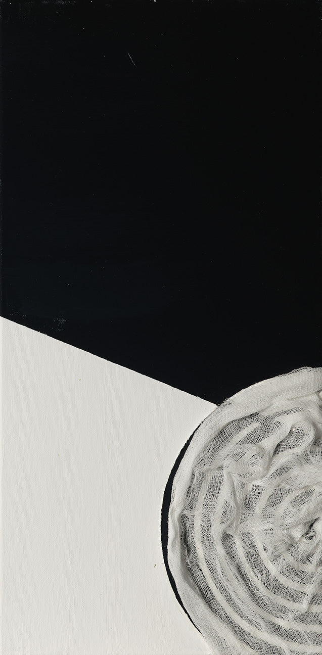 veiled geometry diptych